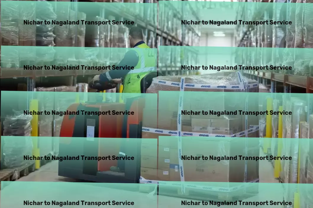 Nichar to Nagaland Transport Efficient, effective, and exceptional transport services in India. - Local goods shipment services