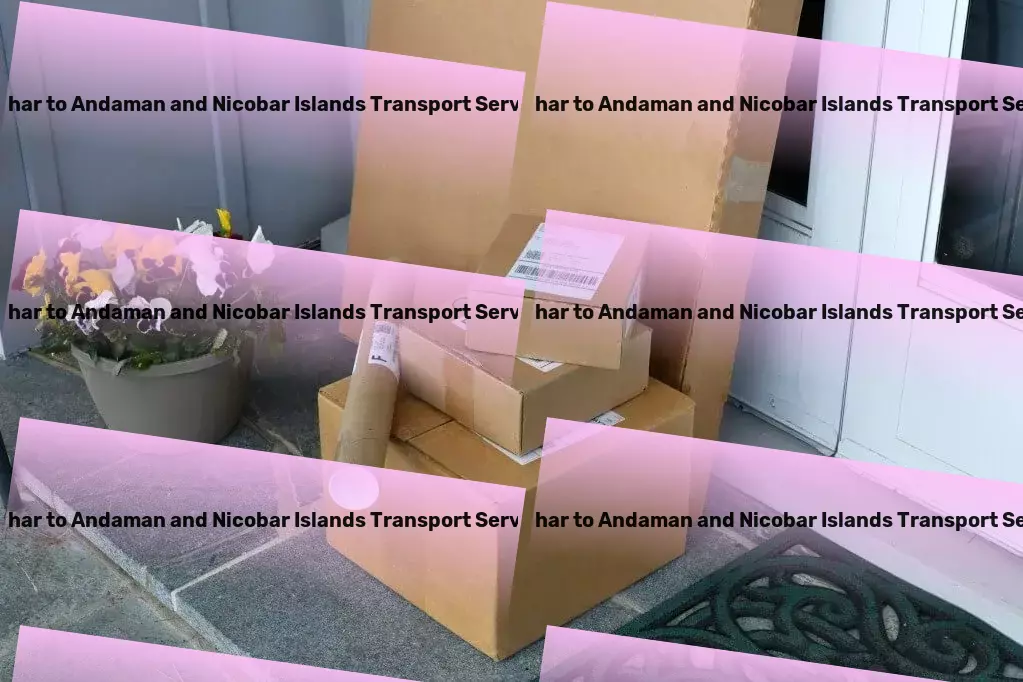 Nichar to Andaman And Nicobar Islands Transport Transform your living space into a smart, connected home! - Fast courier services