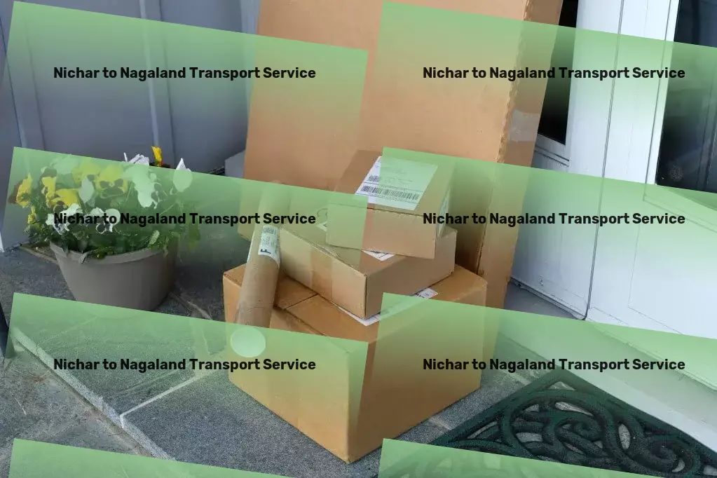 Nichar to Nagaland Transport Transport service provider