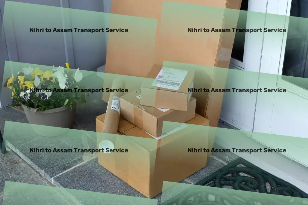 Nihri to Assam Transport Efficient parcel freight