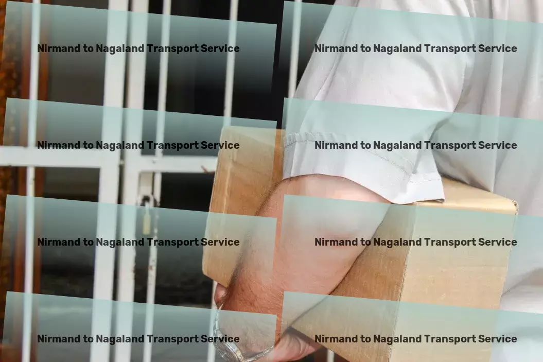 Nirmand to Nagaland Transport Transport delivery services