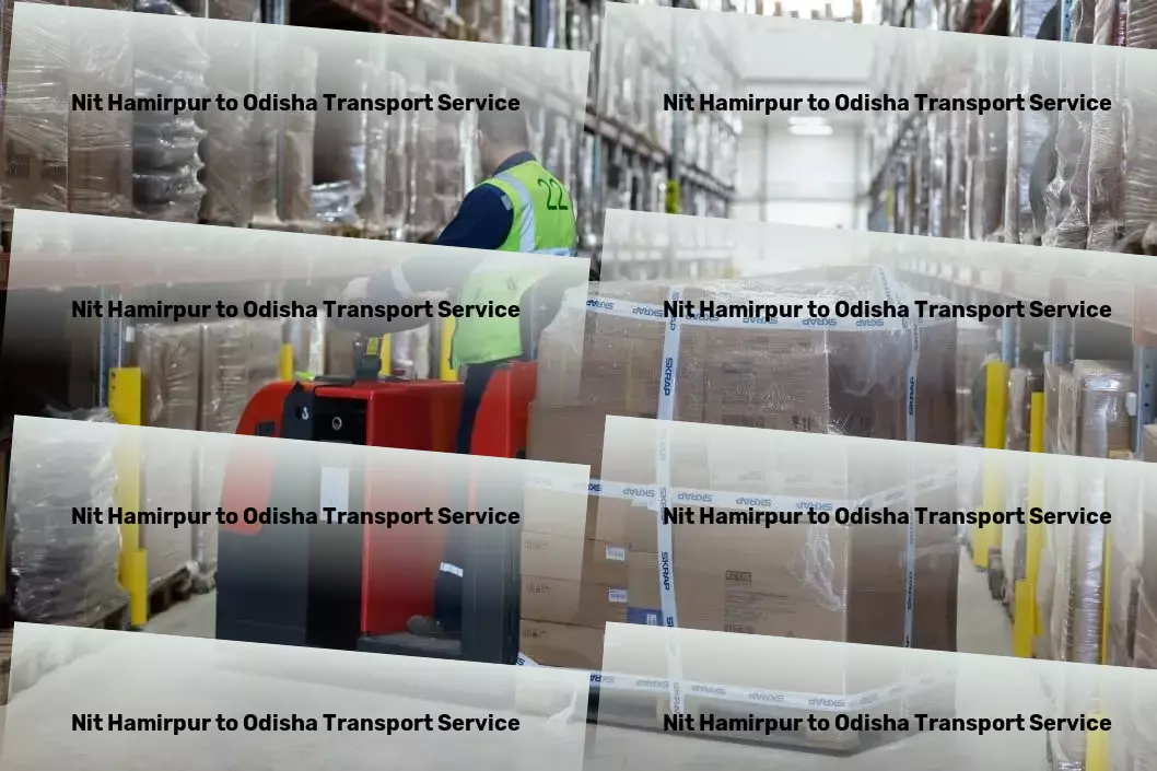 Nit Hamirpur to Odisha Transport Efficient cargo forwarding services