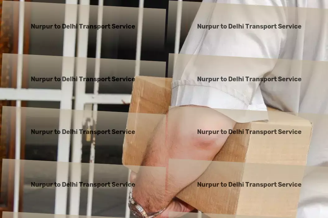 Nurpur to Delhi Transport Cross-state transport services