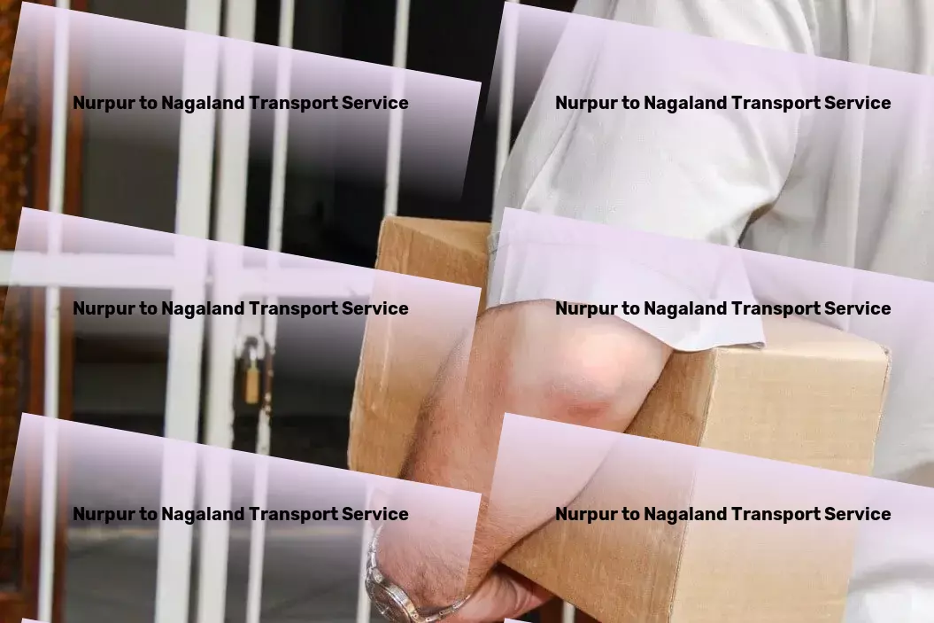 Nurpur to Nagaland Transport Delivery service provider