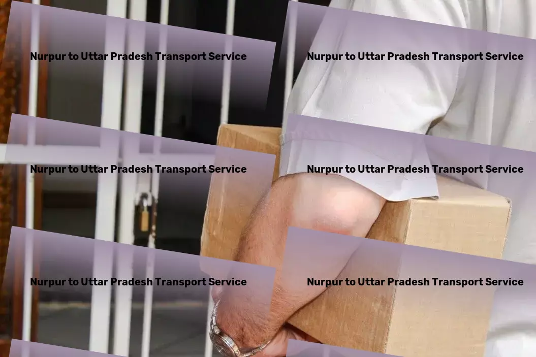 Nurpur to Uttar Pradesh Transport Nationwide courier solutions