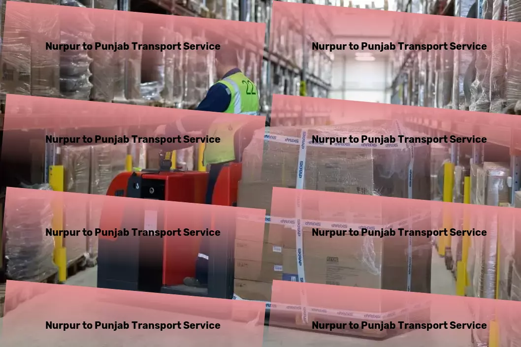 Nurpur to Punjab Transport Local courier logistics