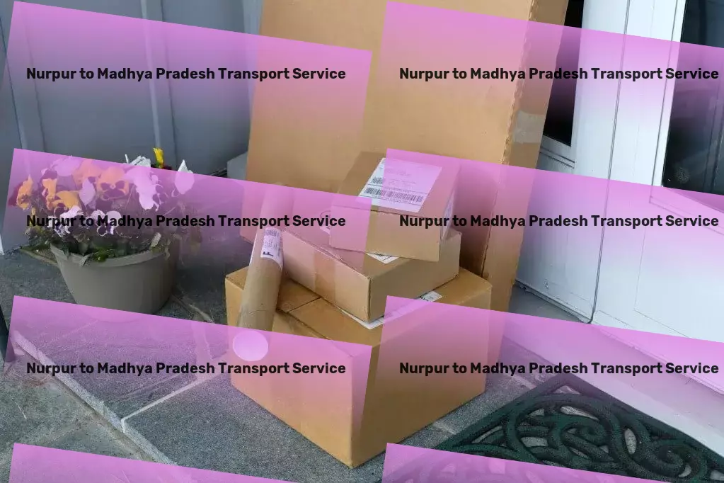 Nurpur to Madhya Pradesh Transport Professional goods moving