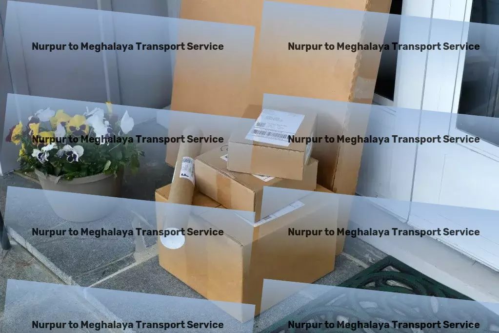 Nurpur to Meghalaya Transport Personalized goods shipment