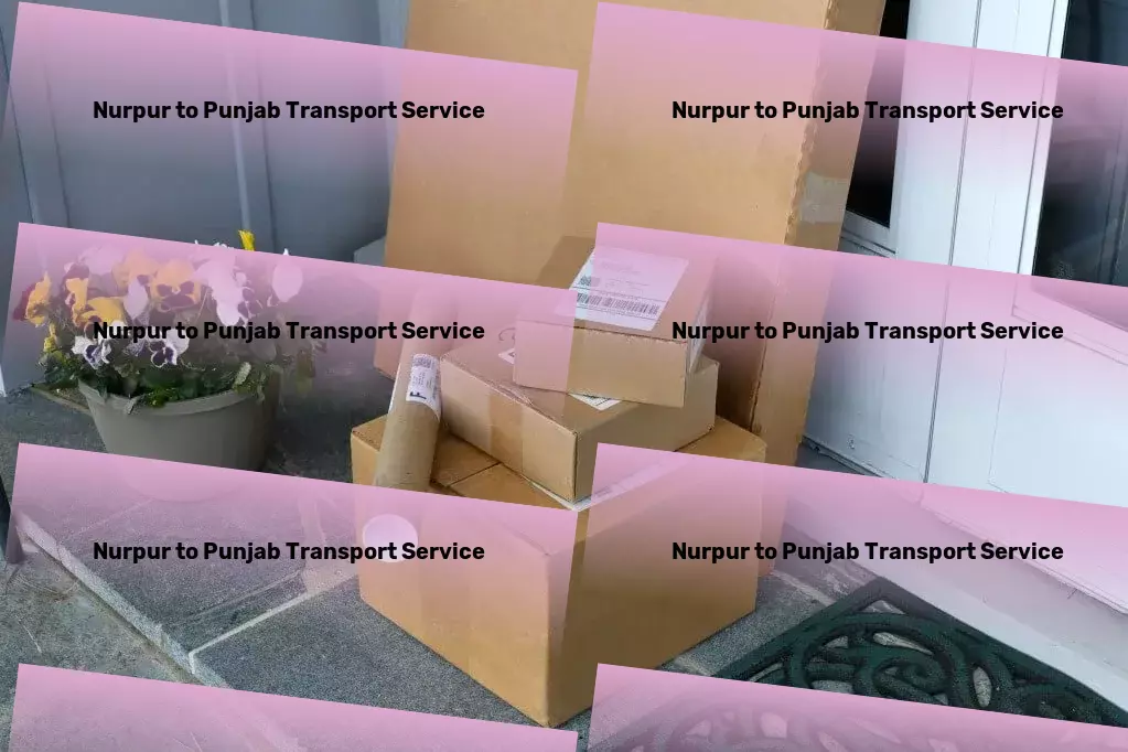 Nurpur to Punjab Transport Expedited package services