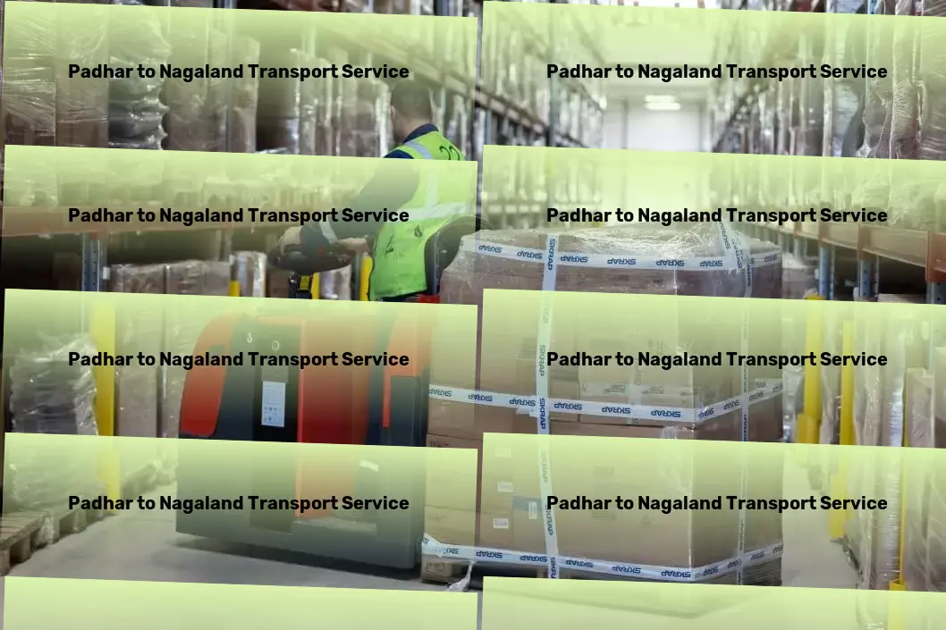 Padhar to Nagaland Transport Urban freight and shipment services