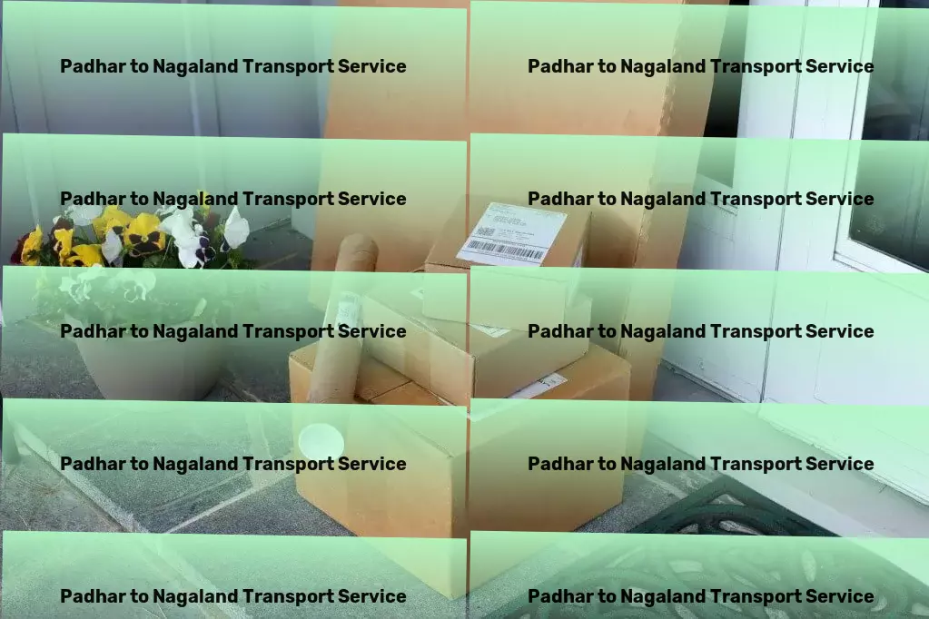 Padhar to Nagaland Transport Enhancing sports performance with data-driven insights and technology! - Specialized shipping services