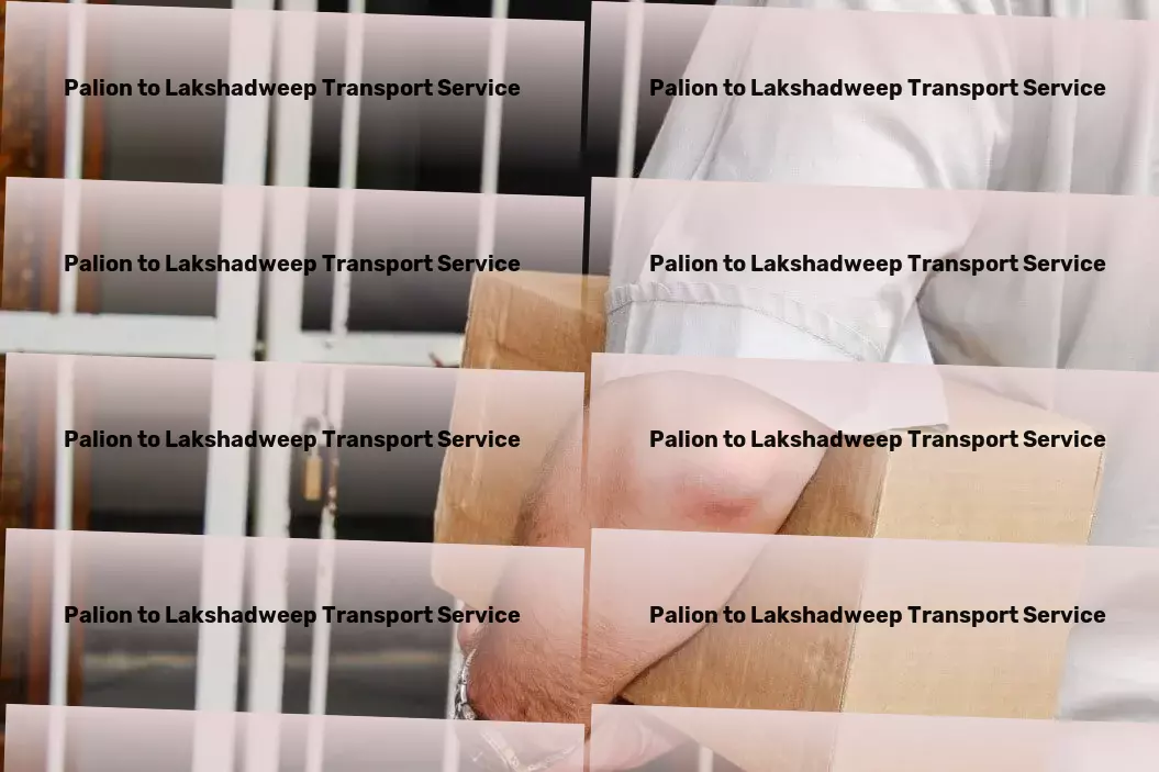 Palion to Lakshadweep Transport High-capacity transport logistics