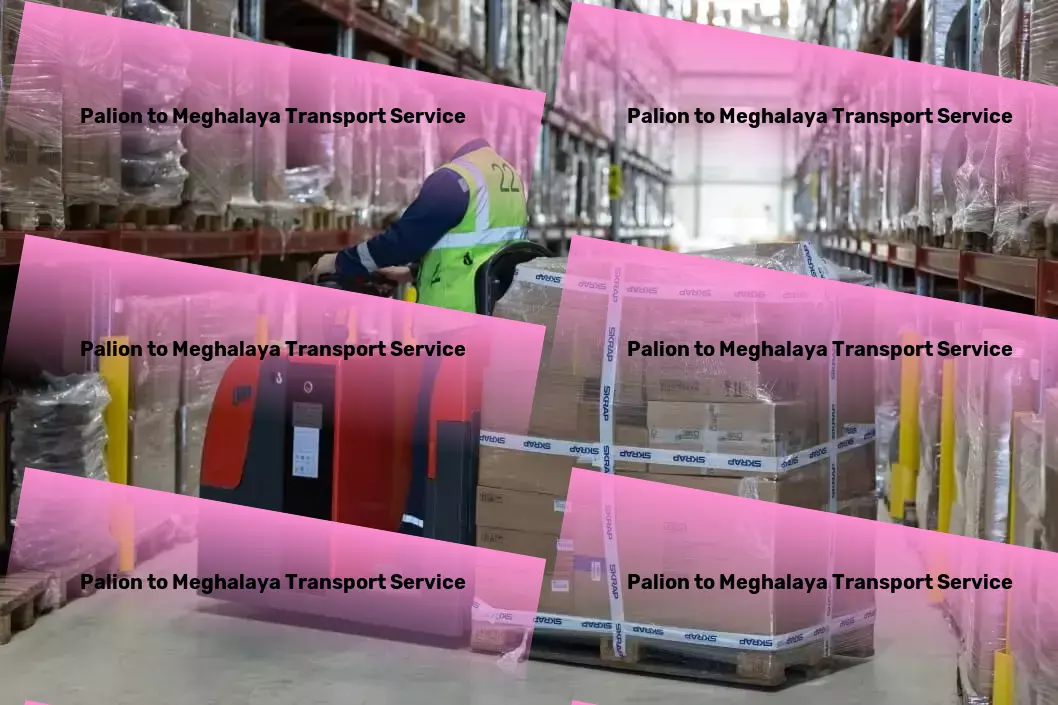 Palion to Meghalaya Transport Customized cargo logistics