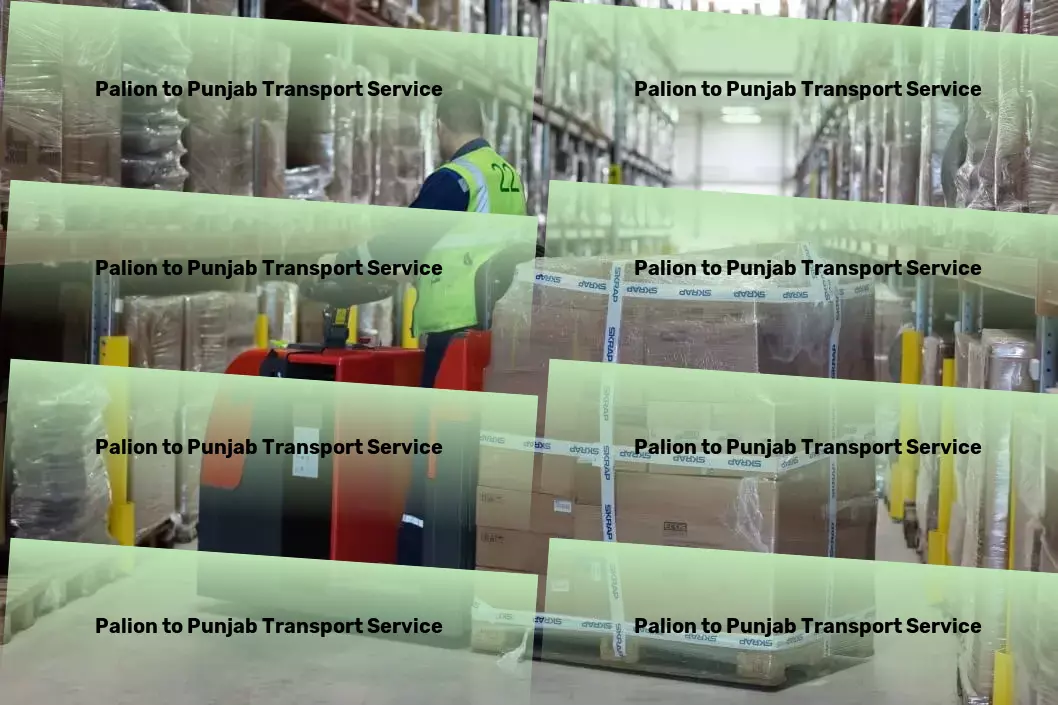 Palion to Punjab Transport Local goods forwarding