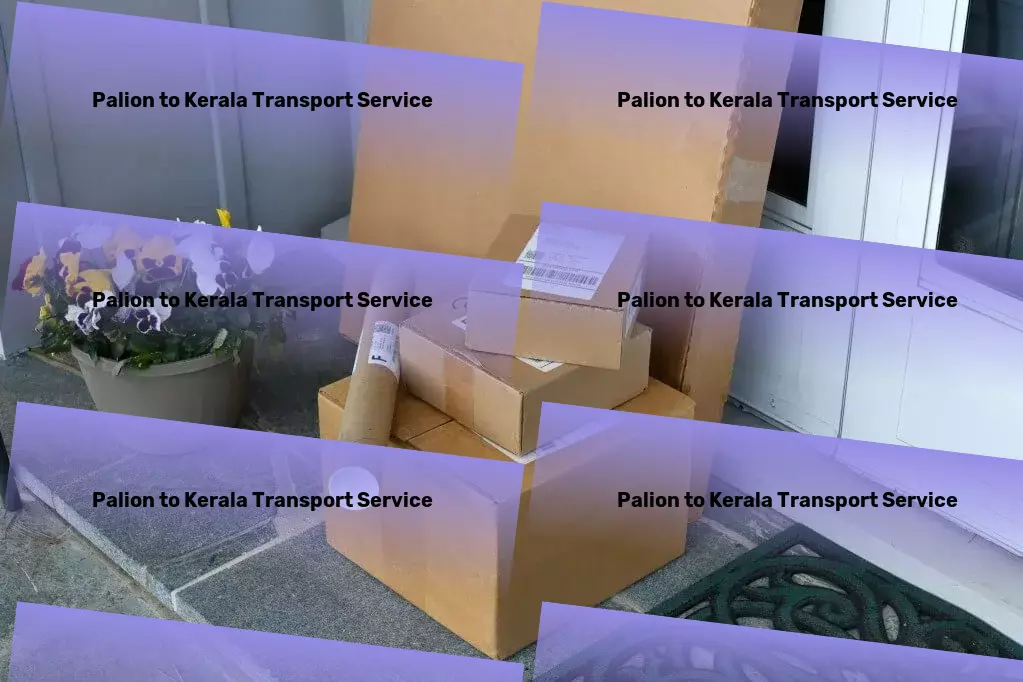 Palion to Kerala Transport Parcel freight networks