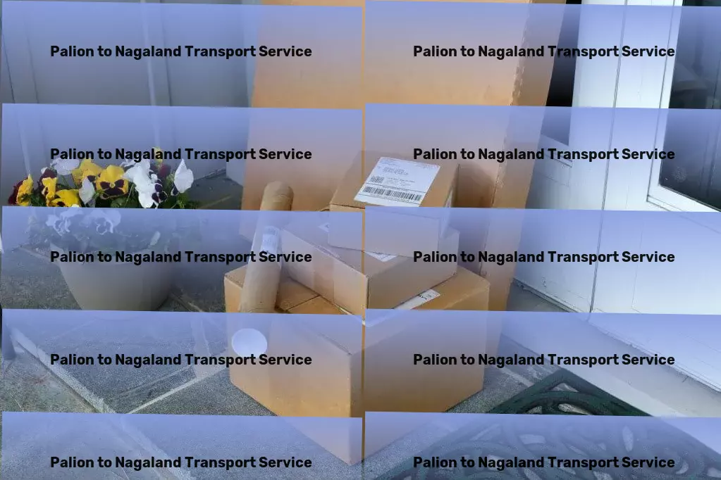 Palion to Nagaland Transport Multi-regional freight services