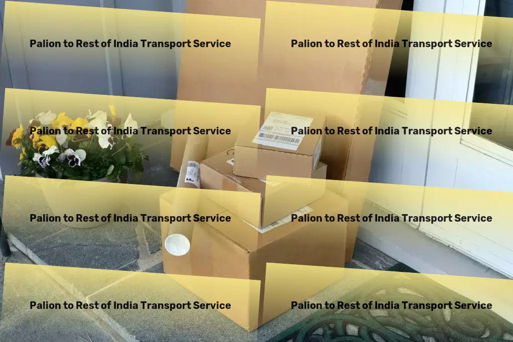 Palion to Rest Of India Transport Pharmaceutical transport services