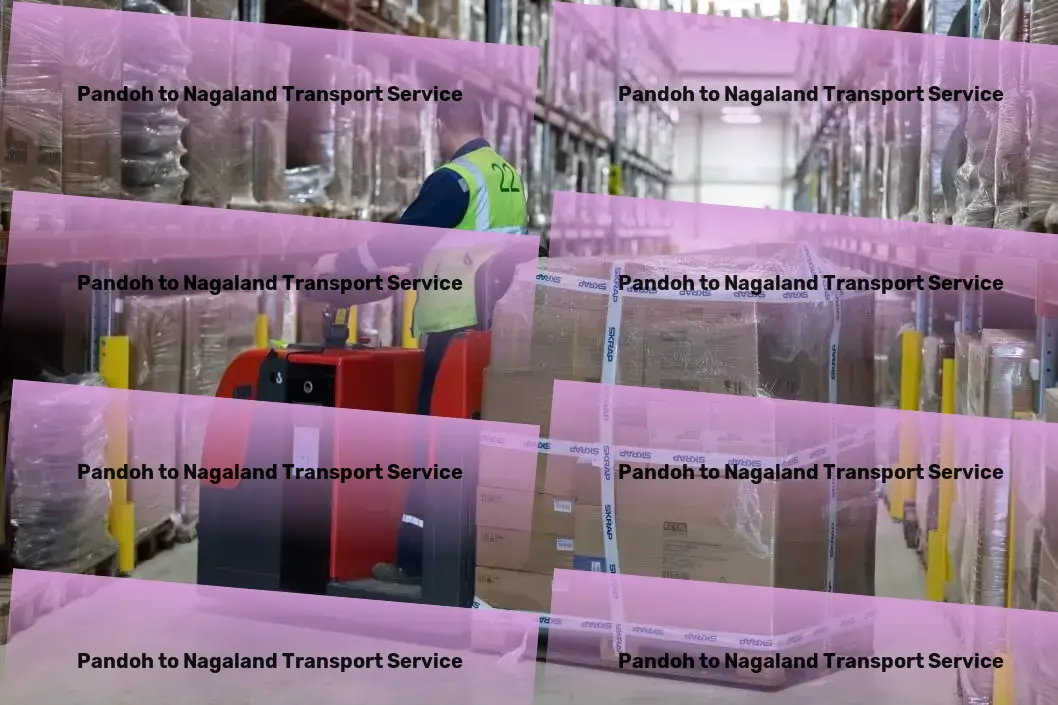 Pandoh to Nagaland Transport Household goods transport