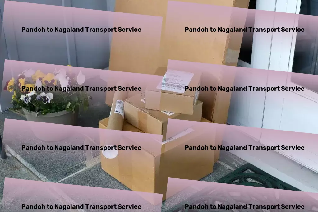 Pandoh to Nagaland Transport Transform your supply chain dynamics with our Indian expertise! - Countrywide logistics services