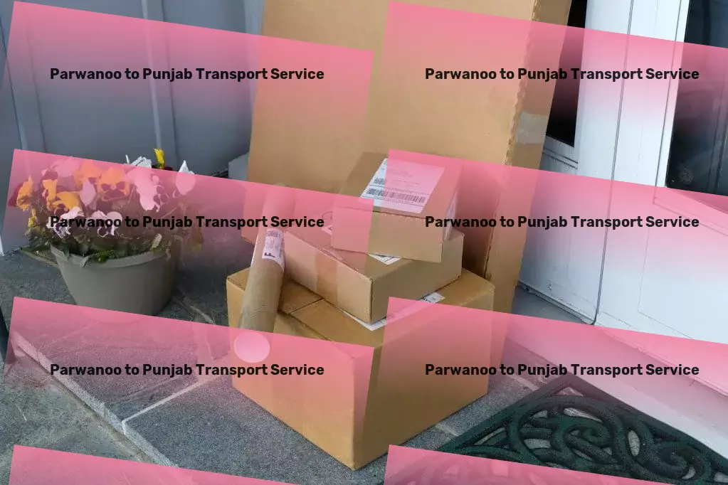 Parwanoo to Punjab Transport Comprehensive package logistics