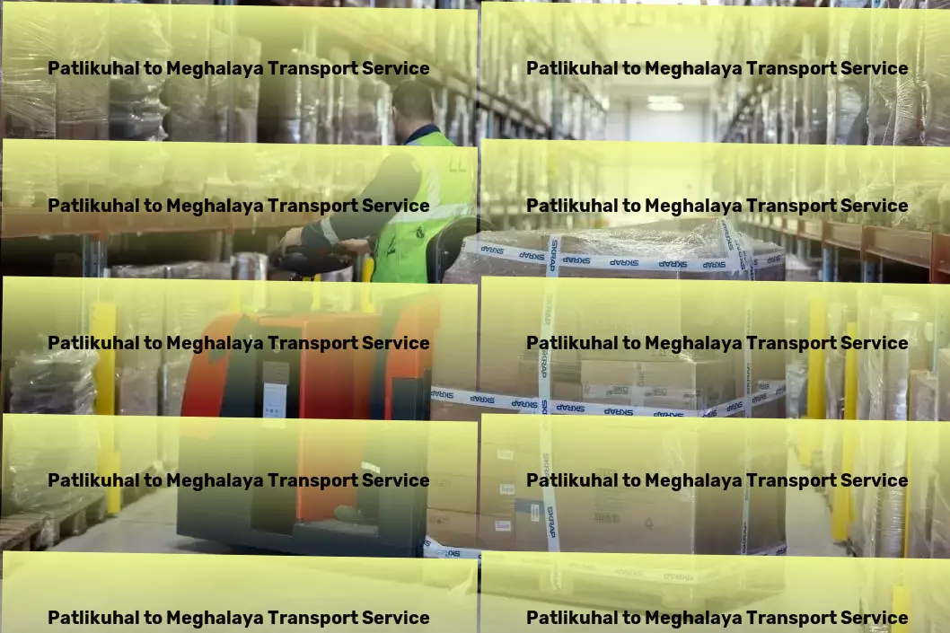 Patlikuhal to Meghalaya Transport Nationwide delivery and shipment