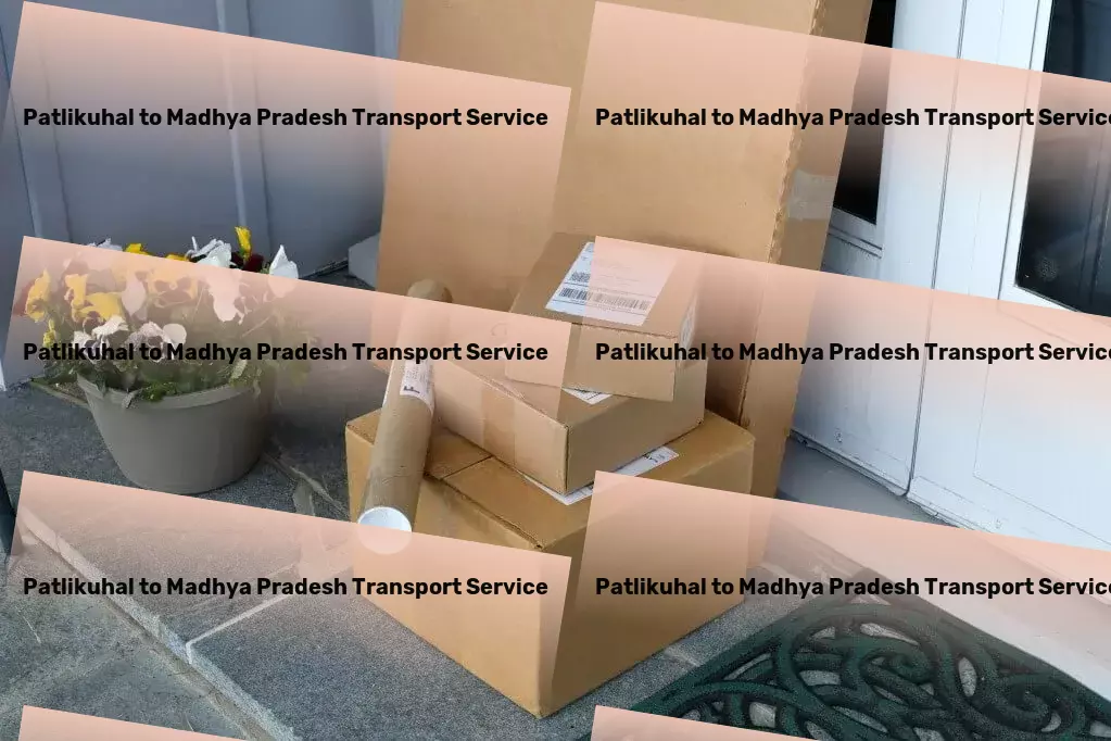 Patlikuhal to Madhya Pradesh Transport Full-scale moving services