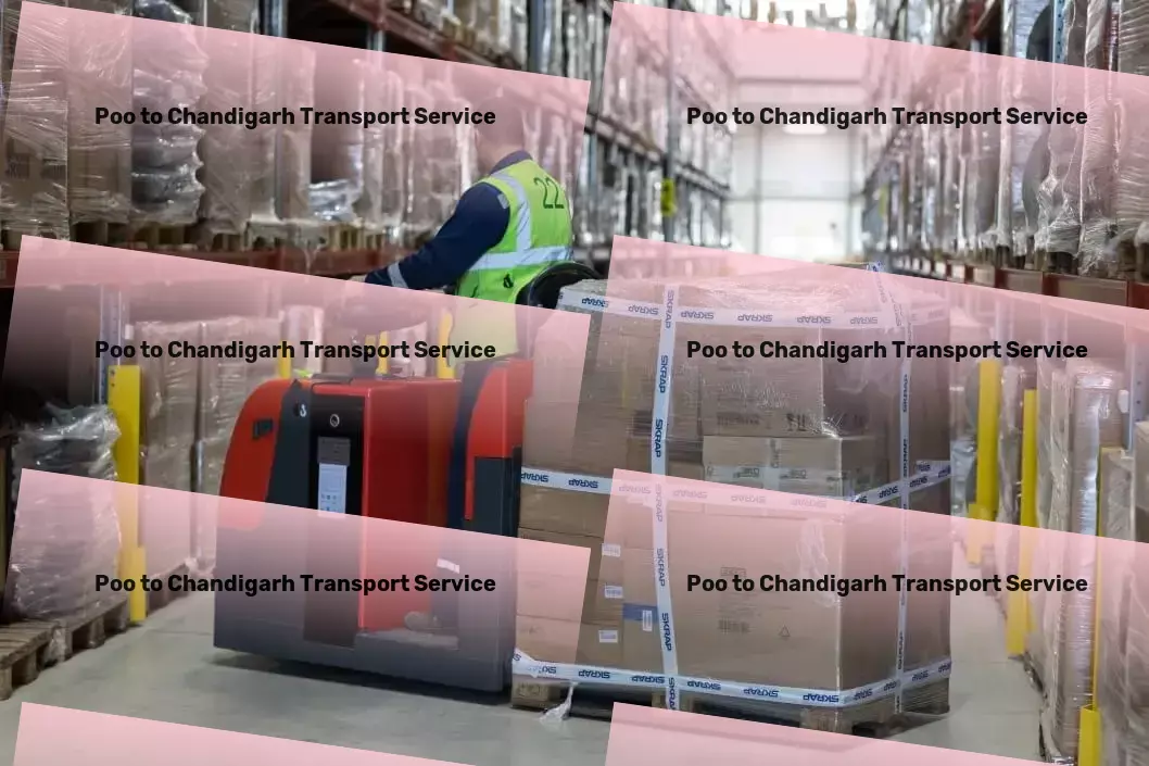 Poo to Chandigarh Transport National furniture transport