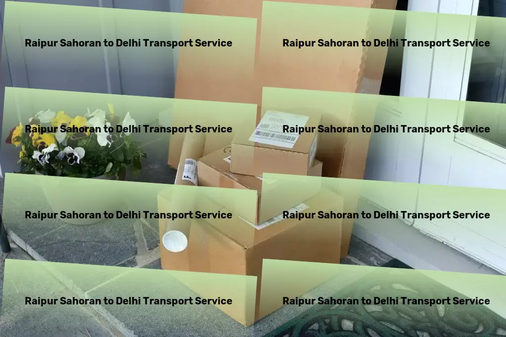 Raipur Sahoran to Delhi Transport Efficient package moving