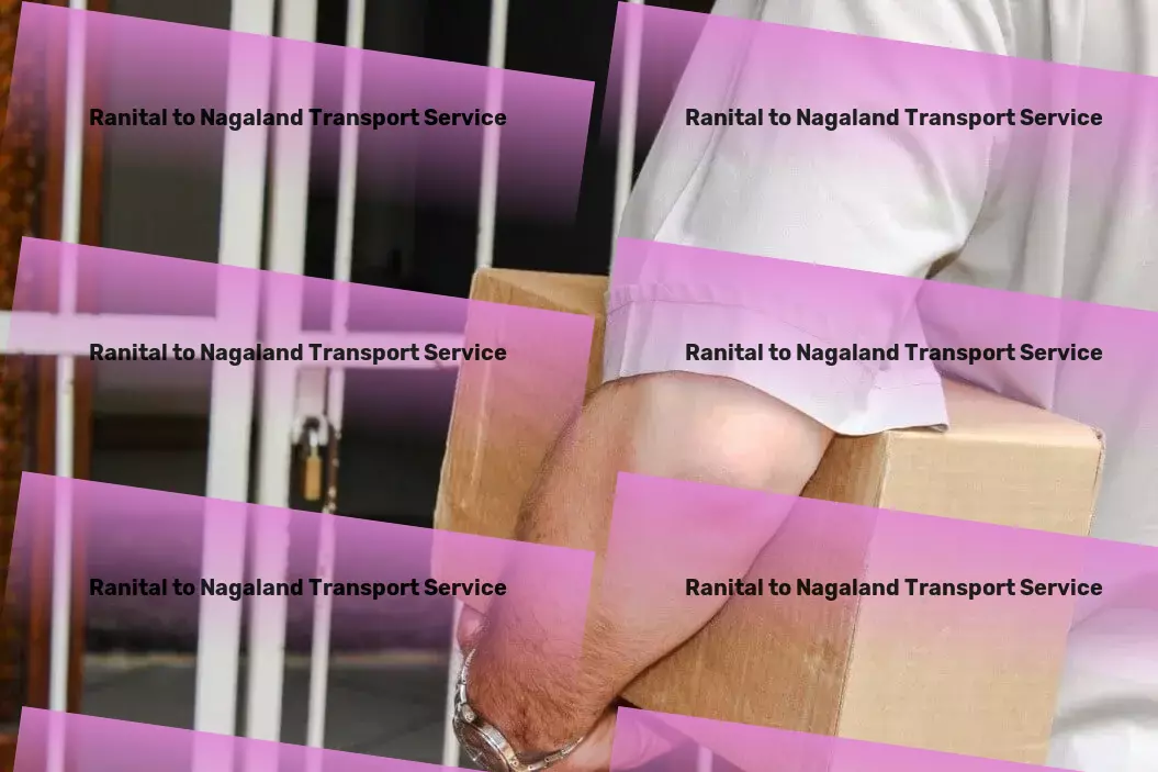 Ranital to Nagaland Transport Demystifying cybersecurity for comprehensive protection online! - Rapid goods transport