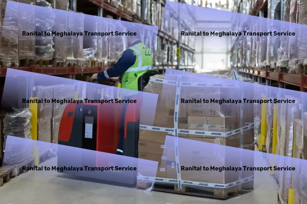 Ranital to Meghalaya Transport Professional logistics services