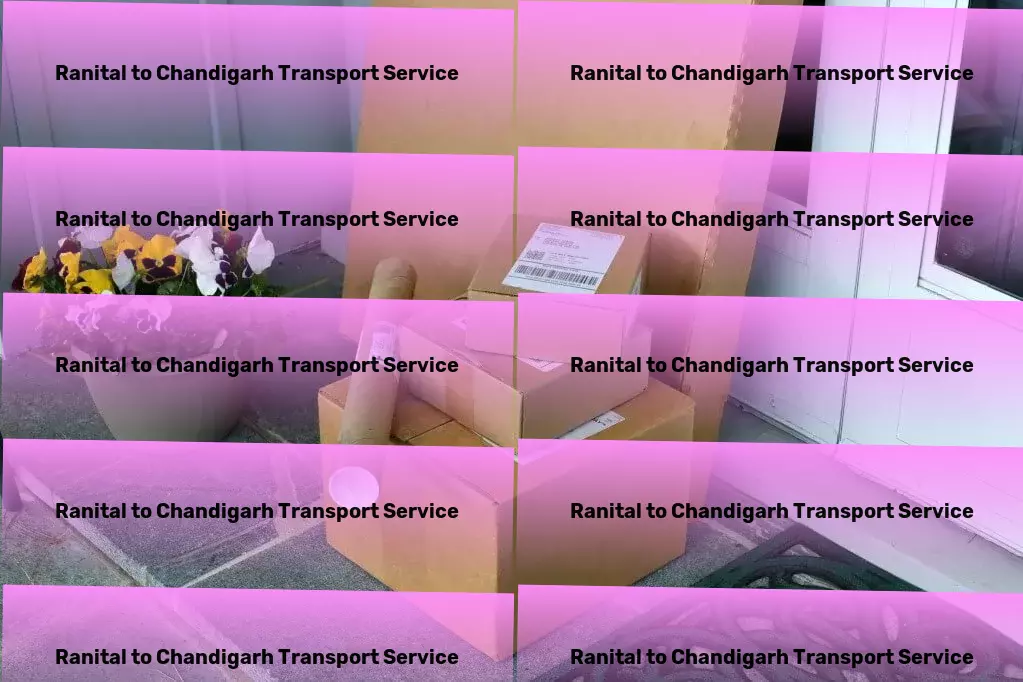 Ranital to Chandigarh Transport Professional goods shipment solutions