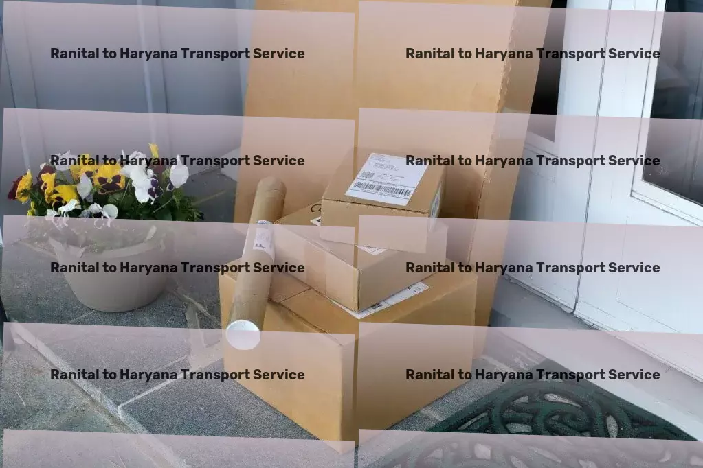 Ranital to Haryana Transport Strategic logistic solutions catering to India's heartland! - Quick parcel delivery solutions